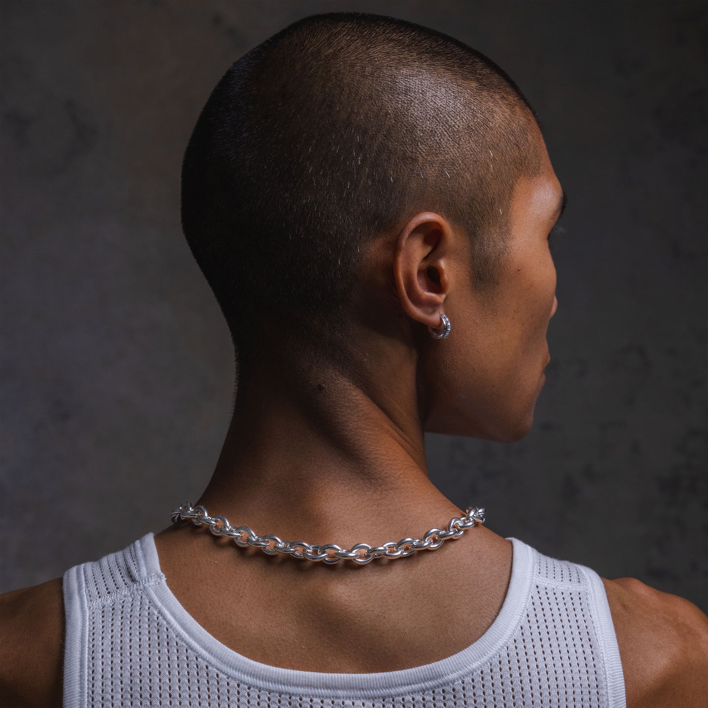 Titanlink Necklace